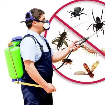 pest control North Creek